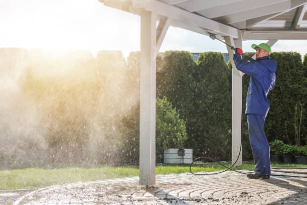 Best Pool Deck Cleaning  in Trumansburg, NY