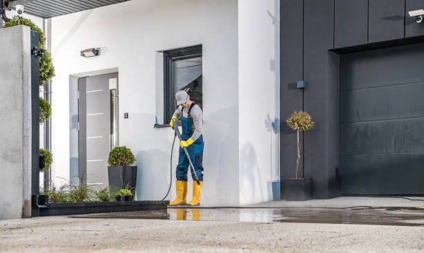 Best Solar Panel Cleaning  in Trumansburg, NY